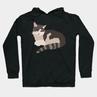 Gray and White Cat Hoodie